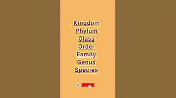 how learn hierarchy classifications easily//#trending #foryou #tricks #tips