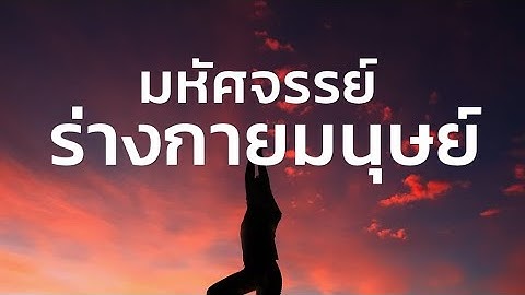 กลไกอันซับซ้อนที่ทำให้มนุษย์มีชีวิตอยู่ได้ | สารคดี สำรวจโลก