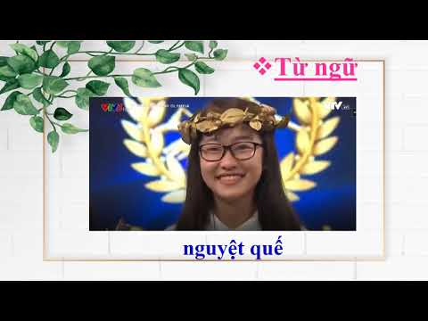 Tập đọc lớp 3 tuần 28 Cuộc chạy đua trong rừng