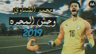 أجمل تصديات محمد الشناوي على مهرجان وحش المجره 2019