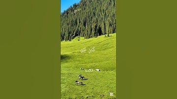 إنما الحياة الدنيا إلا متاع الغرور،تلاوة هادئة تريح الاعصاب ♥️ 🎧سورة الحديد،محمد الفقيه، #قرآن