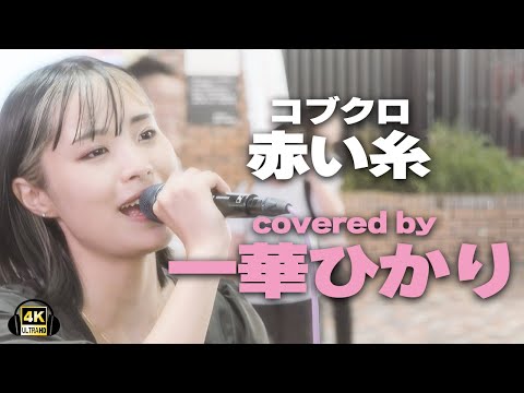 赤い糸/コブクロ　cover 一華ひかり｜新宿路上ライブ【STEREO】