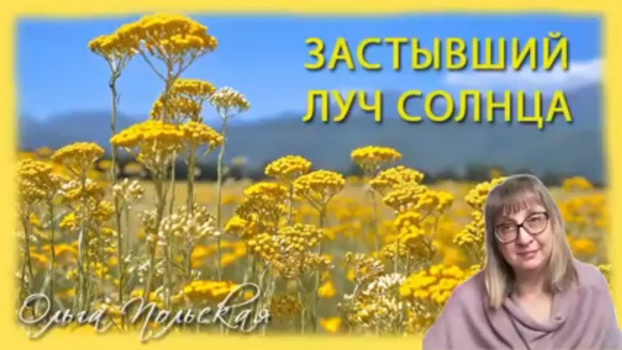 Застывший луч солнца - трава бессмертник итальянский - YouTube