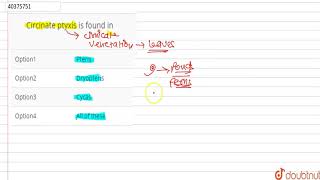 Circinate ptyxis is found in