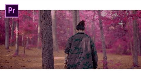 Change Tree Color Under A Minute | Adobe Premiere Pro ( Tutorial )