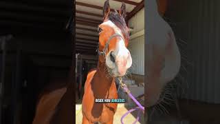 Famous Waylon’s back home 🥹 I raised this boy from the day he was born. Wealth