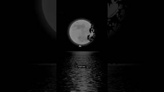 Aesthetic Black status - Dark side🖤✨ #lyrics #music #status