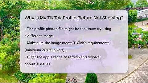 Why Is My TikTok Profile Picture Not Showing? - Everyday-Networking