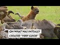 How to Understand the Dynamics of Competition and Struggle in Creation