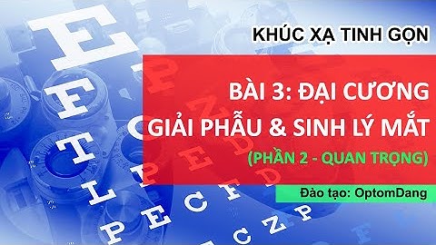BÀI 3: ĐẠI CƯƠNG GIẢI PHẪU VÀ SINH LÝ MẮT PHẦN 2 | Khúc xạ tinh gọn | OptomDang Academy