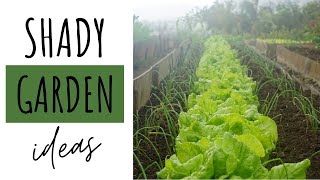 Shady Garden Vegetables - Perfect for the narrow side of your house!
