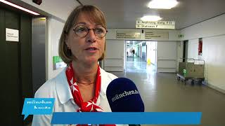 Malteser Hilfsdienst Sucht Ehrenamtliche Helfer