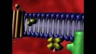 G Protein Receptor Take II