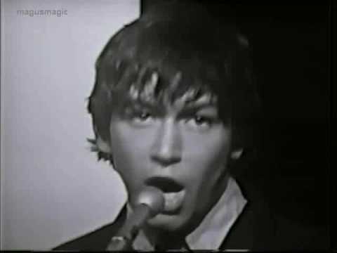The Animals - Don 't Let Me Be Misunderstood (shor...