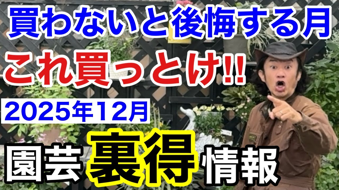 お買い得情報】12月に買わないと必ず後悔する植物教えます 【カーメン 