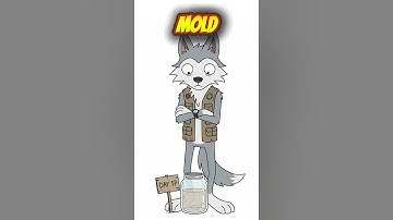 How to Make Vinegar in a Post Apocalyptic World #shorts #science