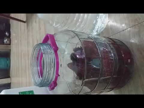 Video Hướng dẫn ngâm rượu ngô tím - youtube