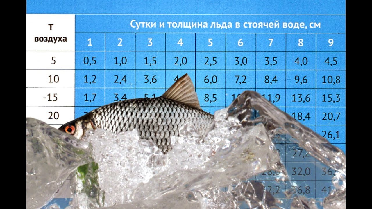 Меры безопасности на льду водоемов Лед на водоемах - это зона... Интересный конт