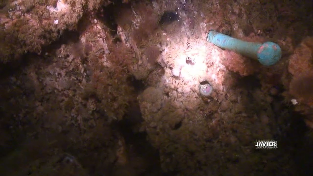 Buceo en los restos naufragios de la Corbeta Esmeralda, un 6 de octubre 2011