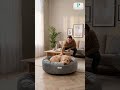 Best-seller: Prestige Cosmic Grey Nest Round Dog Bed - Dog Bed