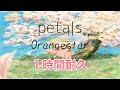 作業用 Petals Orangestar 1時間耐久 