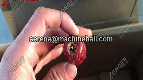 Smei Automatic Dry Dates Pitting Machine / Date Seed Removing Machine Manufacturer