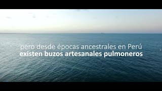 ¿Qué piden los buzos artesanales pulmoneros a las autoridades? by REDES SOSTENIBILIDAD PESQUERA 372 views 1 year ago 8 minutes, 1 second