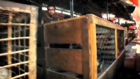 Jeff Johnson Complexity OU