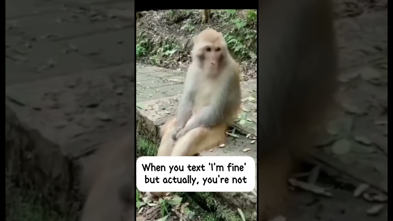 Me: 'I’m Fine' | Also Me: 😭