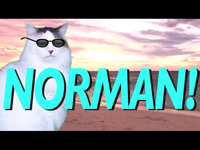 HAPPY BIRTHDAY NORMAN! - EPIC CAT Happy Birthday Song