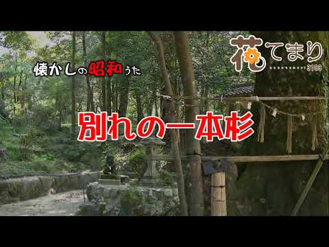 別れの一本杉　懐かしいあのころＢ－5