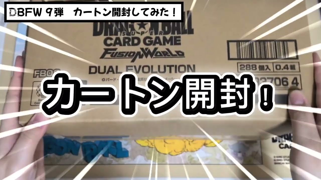 DBFW DUAL EVOLUTION カートン開封 - YouTube