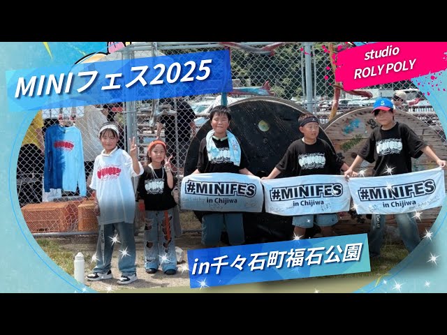 MINIFES
