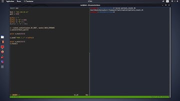 Vulnserver TRUN Walkthrough [buffer overflow]