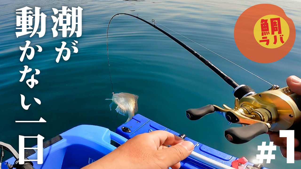 ベタ凪で潮の流れない海で鯛ラバをしてきた！【前編】タイラバ・SLJ