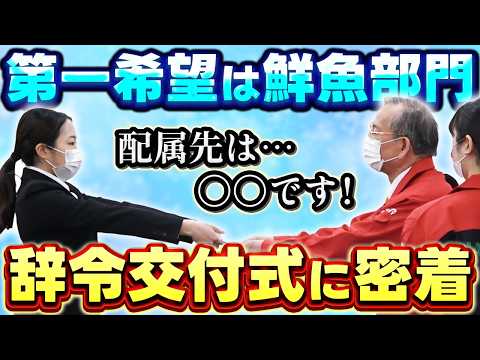 [Supermarket] The tense moment when the new employee's assignment is decided...! Close coverage o... - video from Halows