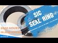 SiC Seal Ring: 8000 Hours in Acid Service |ADCERAX