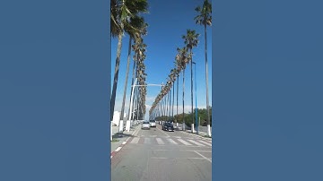 سورة التكوير