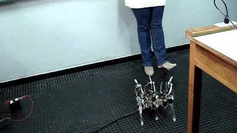 FEI - Hexapod Walking Robot