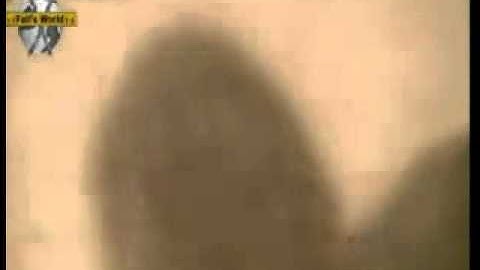 Kinect FAIL - Cat Kick.