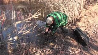 footholds for beaver/otter at culverts