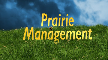 Prairie Immersion: Prairie Management