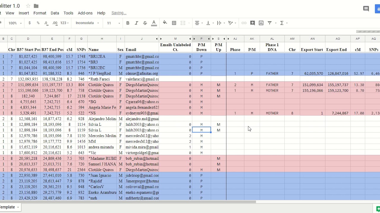 DNA Splitter Ep 1 How To Use The Spreadsheet YouTube