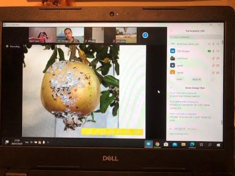 זום גינון מס&rsquo; 8 - היכרות עם מזיקים בעצי פרי