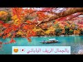 ريف كيوتو، اليابان | Beyond Kyoto