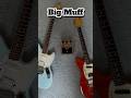 The Legendary #Fuzz #Sound: Big Muff #Test 🎸