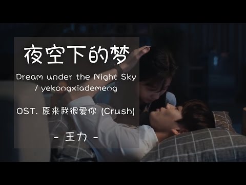 [ENGSUB]《夜空下的梦》- 王力 - [Dream under the Night Sky] OST. 原来我很爱你 [Crush]