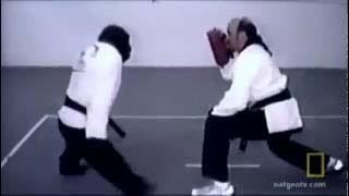 Chimp learns martial arts
