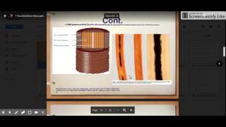02-Forensics-Hair