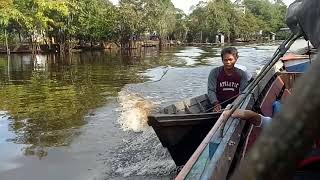 Desa Mahajandau Kec Dusun Hilir Kab Barito Selatan Prov Kalteng